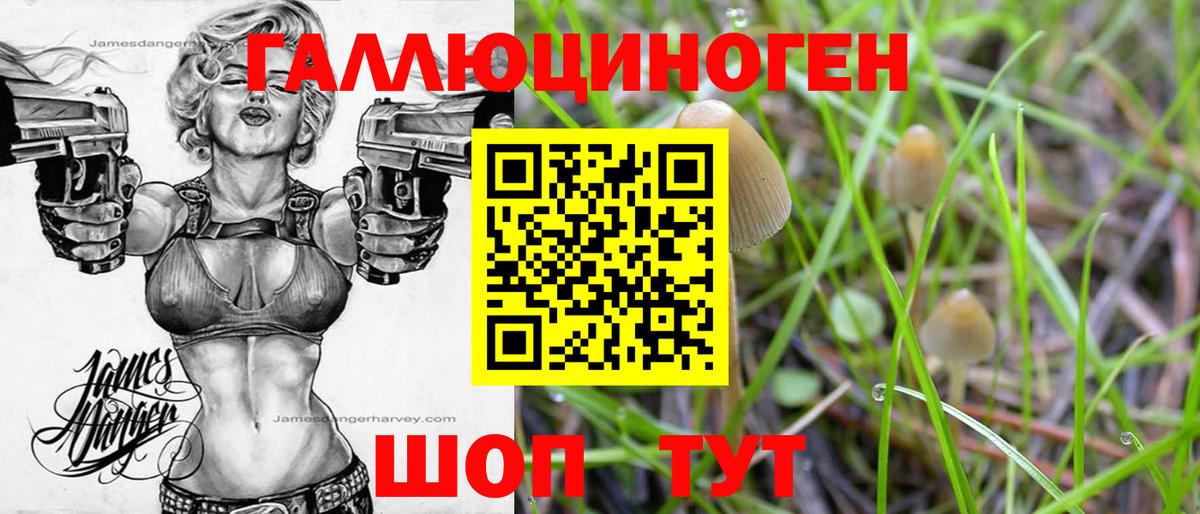 Псилоцибиновые грибы мухоморы Южноуральск