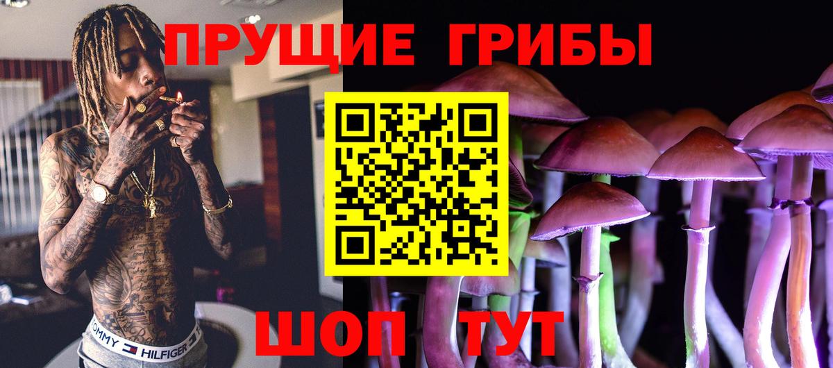 Галлюциногенные грибы Psilocybine cubensis Южноуральск