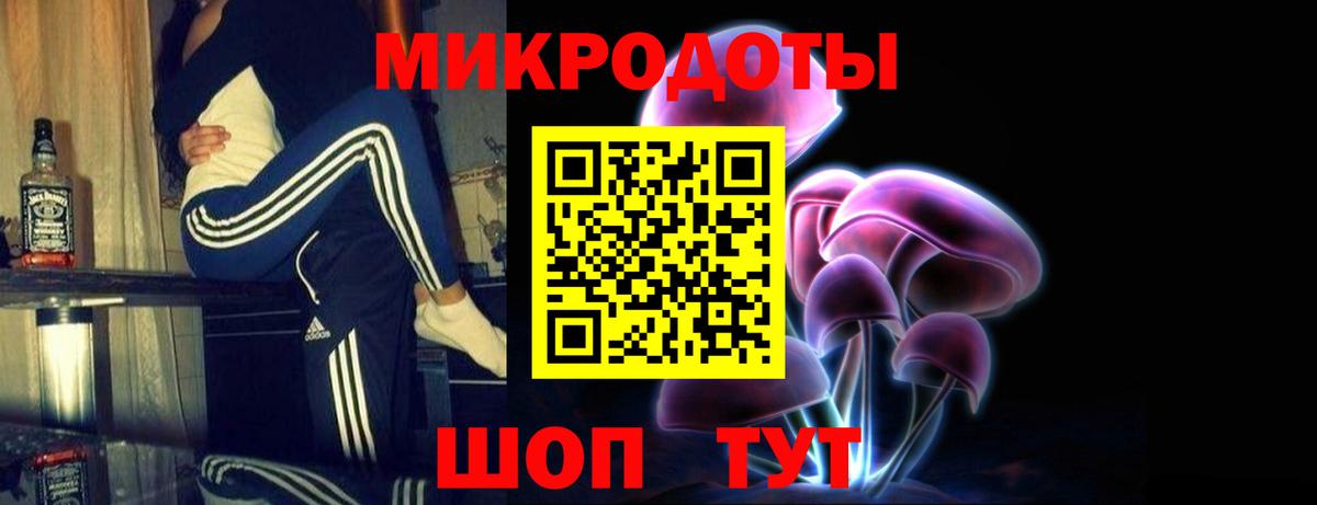 Южноуральск  Галлюциногенные грибы прущие грибы  Вход с VPN 